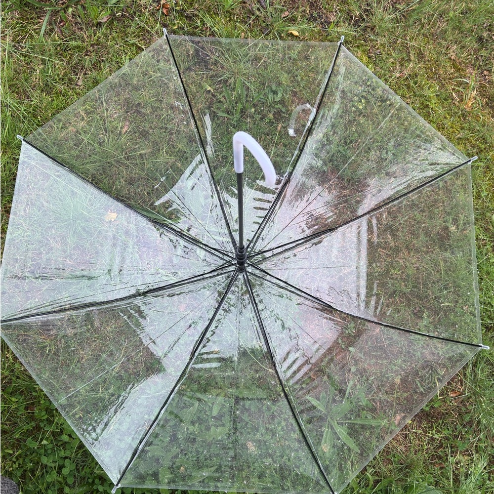 Clear Umbrella with White Handle